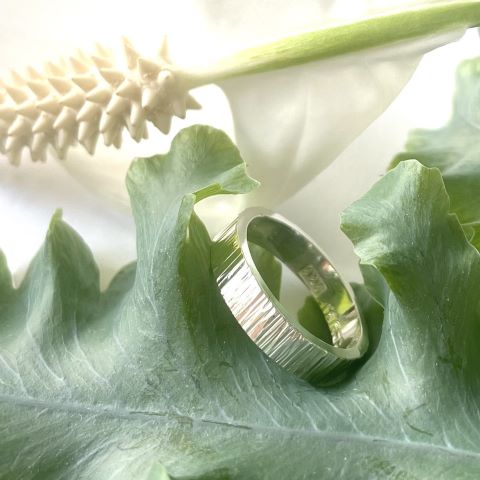 Silverring hamrad
