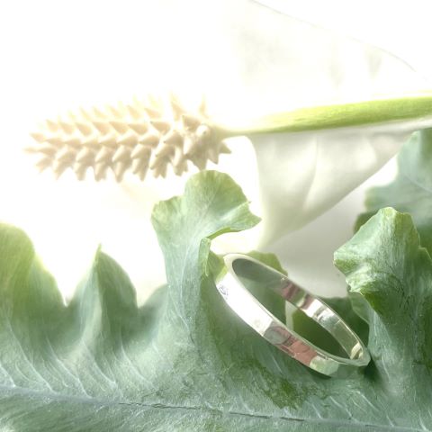 Silverring hamrad