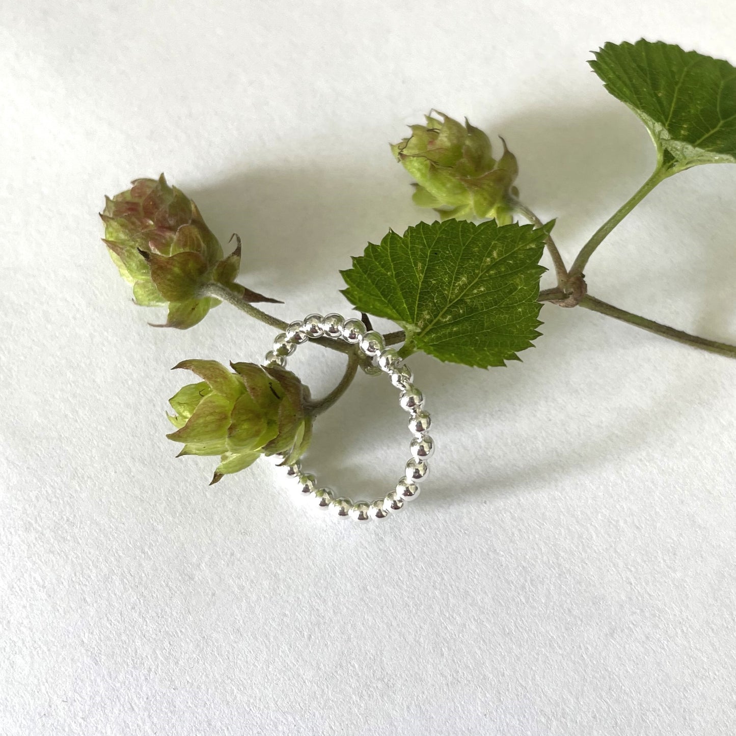 Silverring kulor